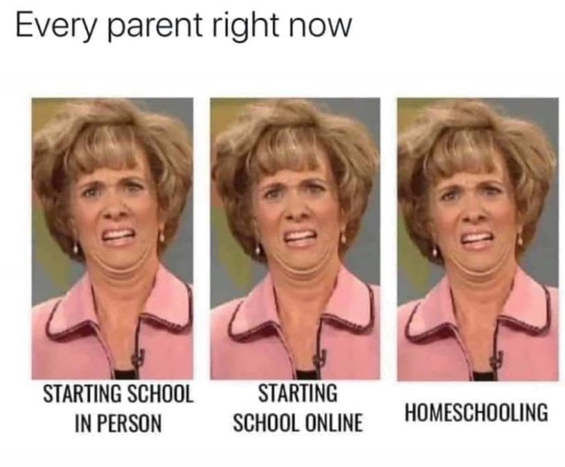 school options