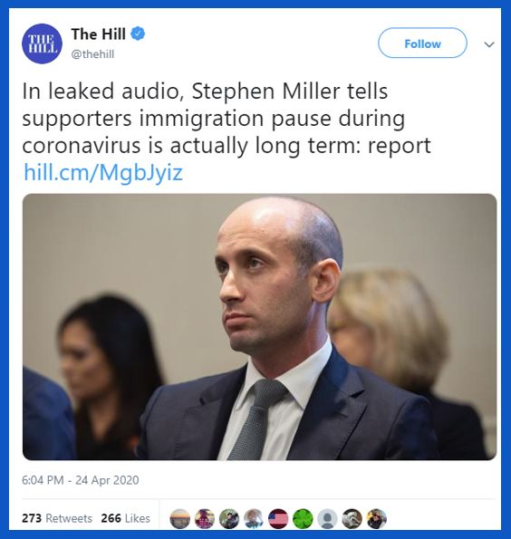 steve miller immigration
