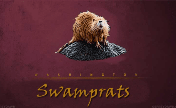 swamp rats washington