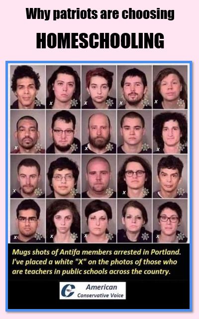 teachers antifa homeschooling