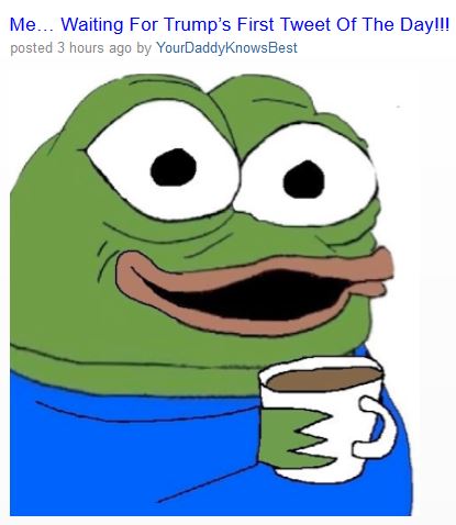 trump tweet pepe
