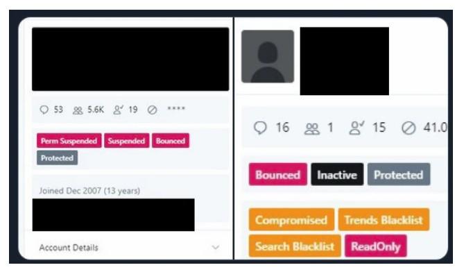twitter panel