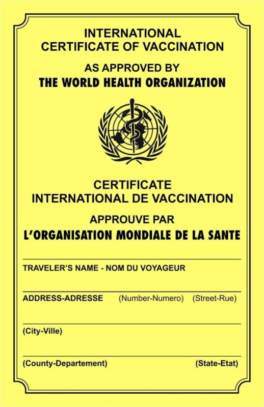vaccine identification passport