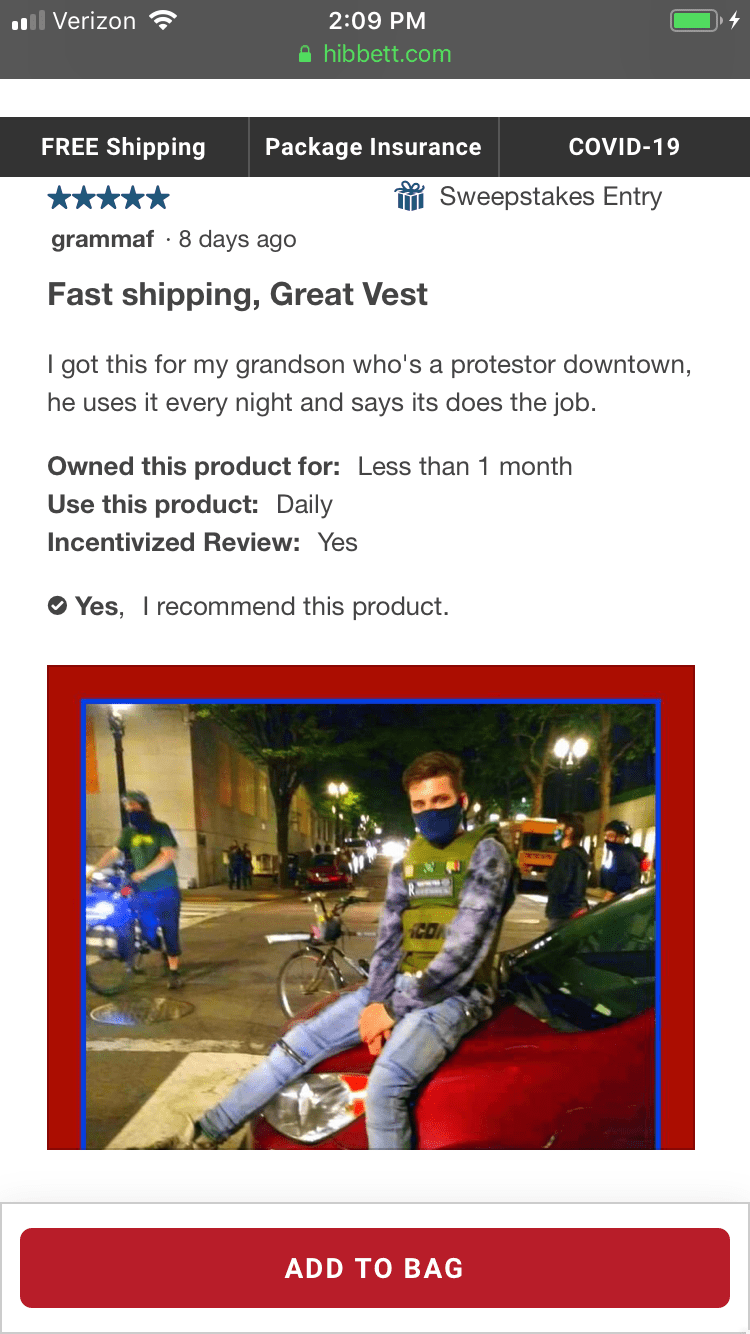 vest review