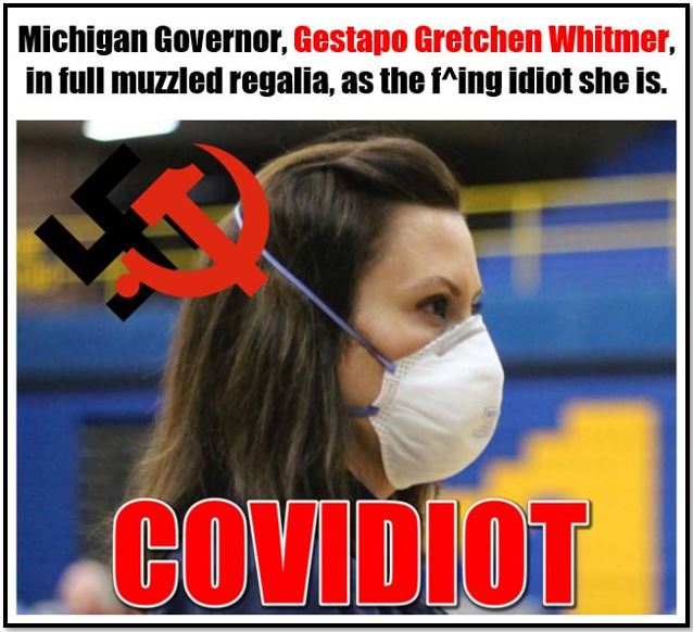 whitmer nazi covid 2