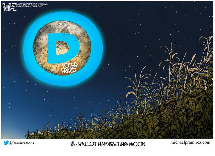 ballot harvest moon