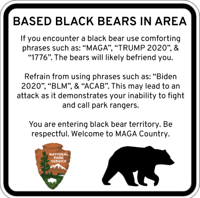 bear rules