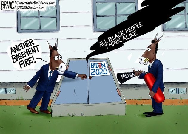 branco biden basement