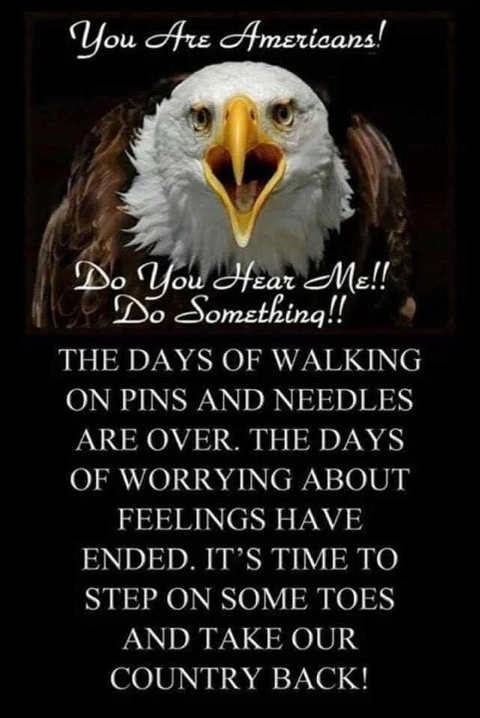 eagle talks