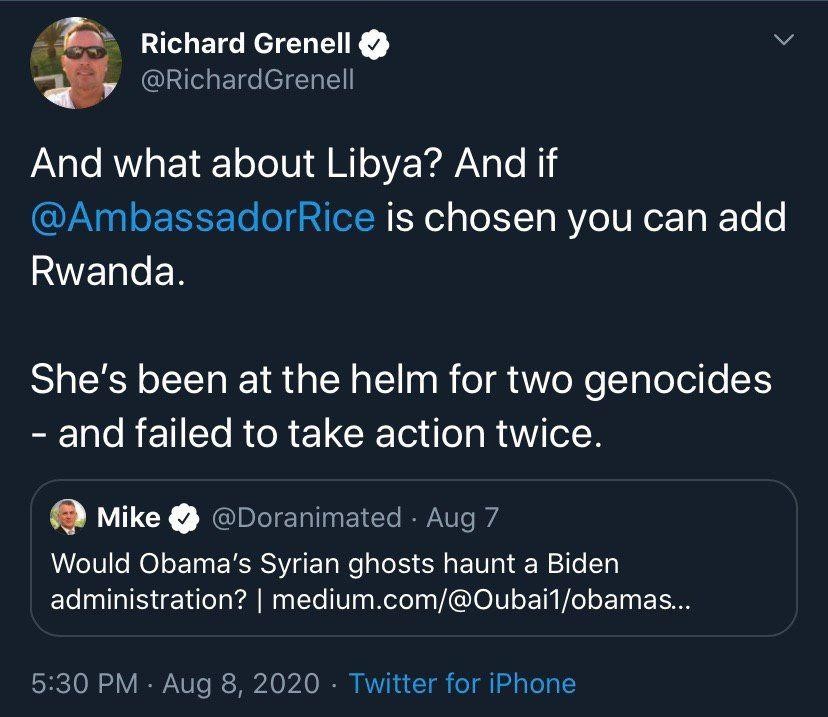 grenell susan rice