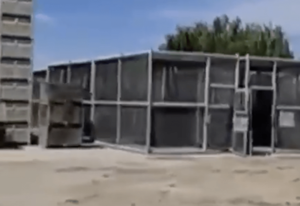 human cages
