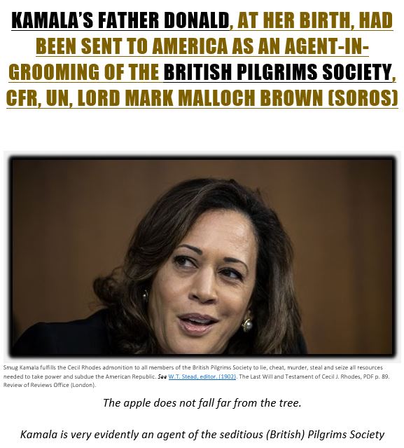 kamala harris afi 2