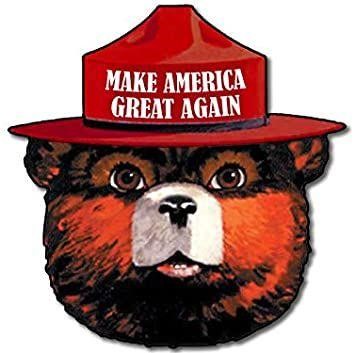 smokey bear MAGA