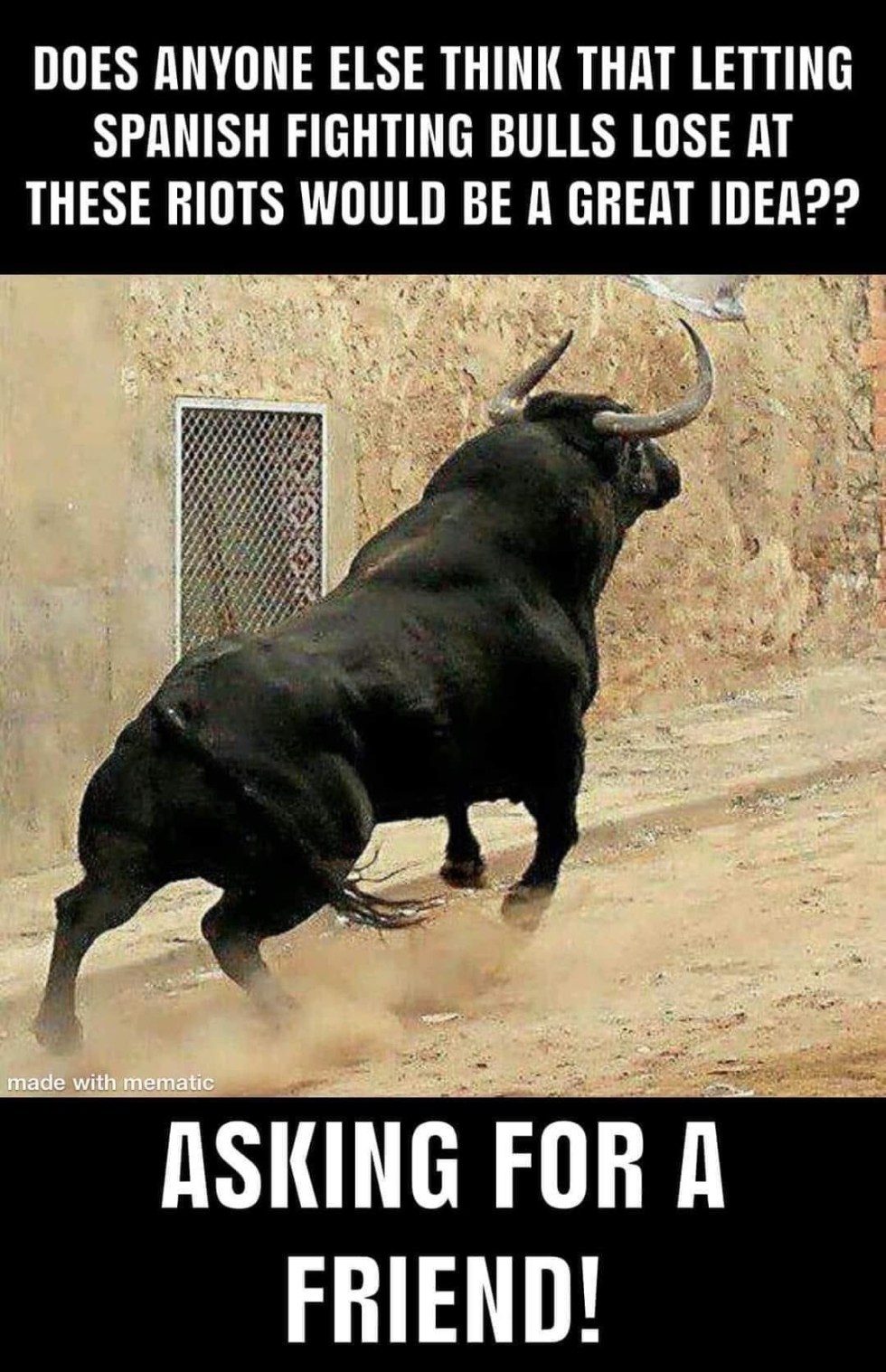 spanish bulls riot