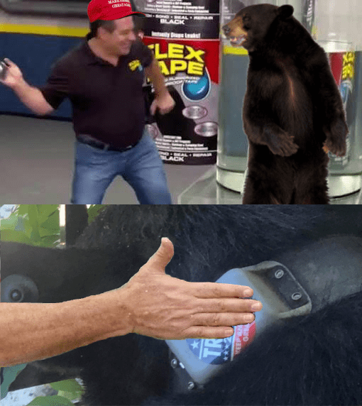 trump bear 2