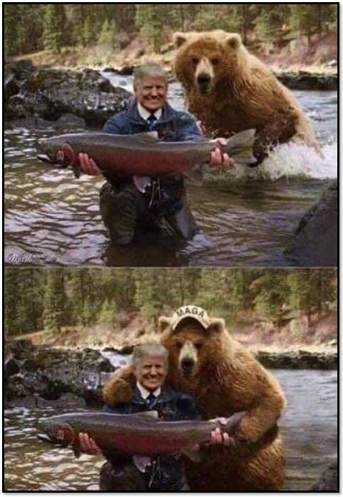 trump bear 4