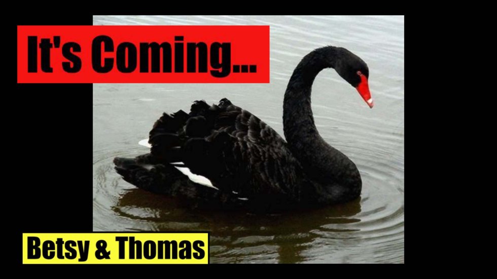 black swan event