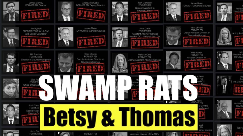 swamp rats thumbnail