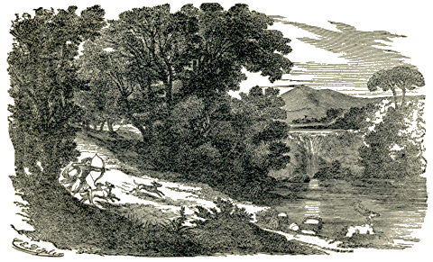 hunting silvia's stag