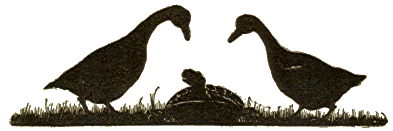 [Illustration] from Jataka Tales by Ellen C. Babbitt