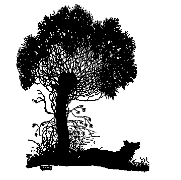 [Illustration] from More Jataka Tales by Ellen C. Babbitt