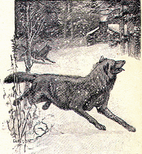 [Illustration] from Conquest of the Old Northwest by James Baldwin