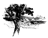 [Illustration] from Robinson Crusoe  by James Baldwin