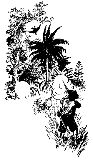 [Illustration] from Robinson Crusoe  by James Baldwin