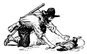 [Illustration] from Robinson Crusoe  by James Baldwin