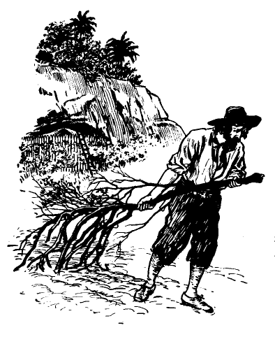 [Illustration] from Robinson Crusoe  by James Baldwin