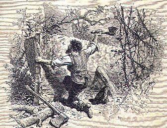 [Illustration] from Robinson Crusoe  by James Baldwin