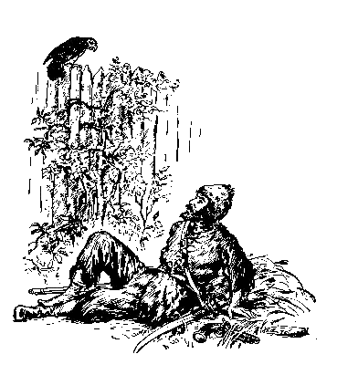 [Illustration] from Robinson Crusoe  by James Baldwin