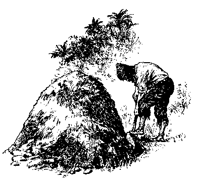 [Illustration] from Robinson Crusoe  by James Baldwin