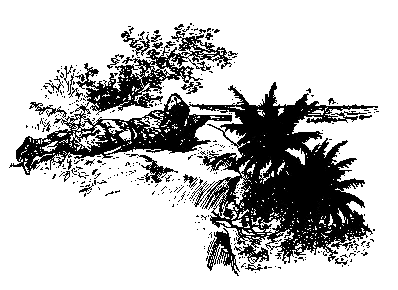 [Illustration] from Robinson Crusoe  by James Baldwin