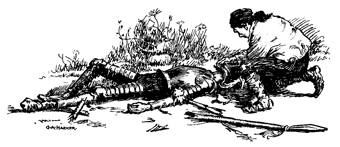 [Illustration] from Stories of Don Quixote by James Baldwin