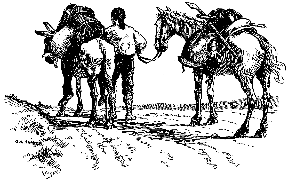 [Illustration] from Stories of Don Quixote by James Baldwin