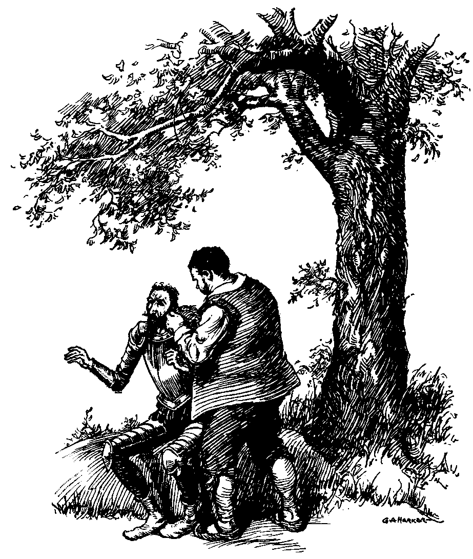 [Illustration] from Stories of Don Quixote by James Baldwin