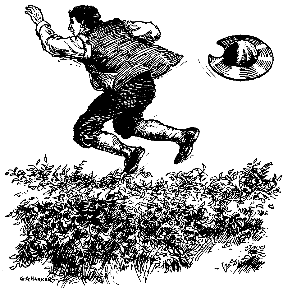 [Illustration] from Stories of Don Quixote by James Baldwin