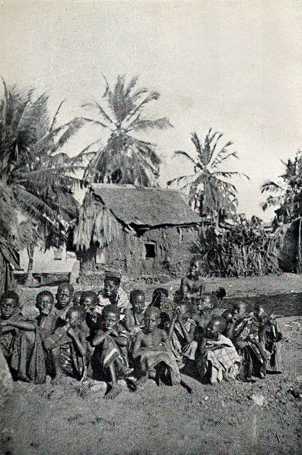 [Illustration] from West African Folk-Tales by William H. Barker