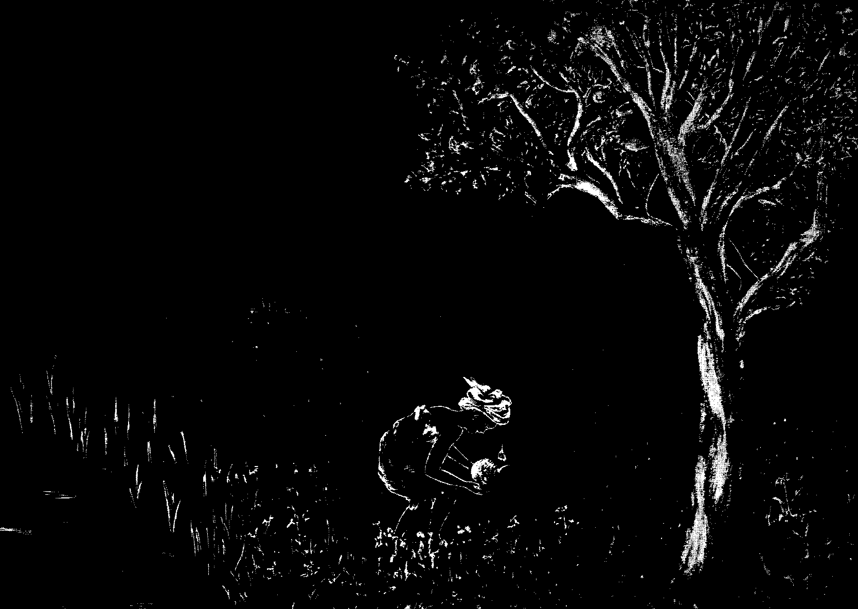 [Illustration] from West African Folk-Tales by William H. Barker