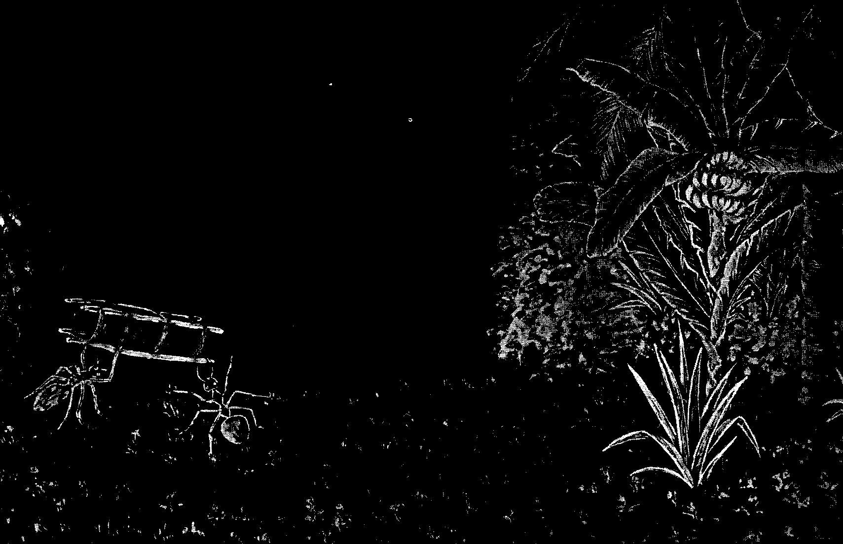 [Illustration] from West African Folk-Tales by William H. Barker