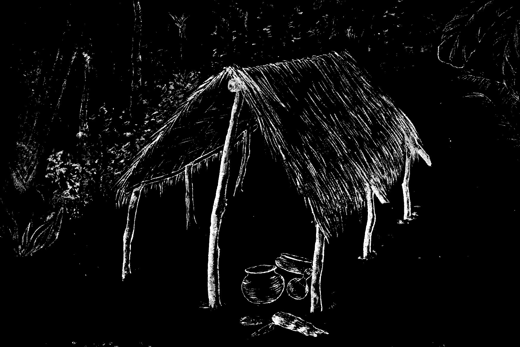 [Illustration] from West African Folk-Tales by William H. Barker