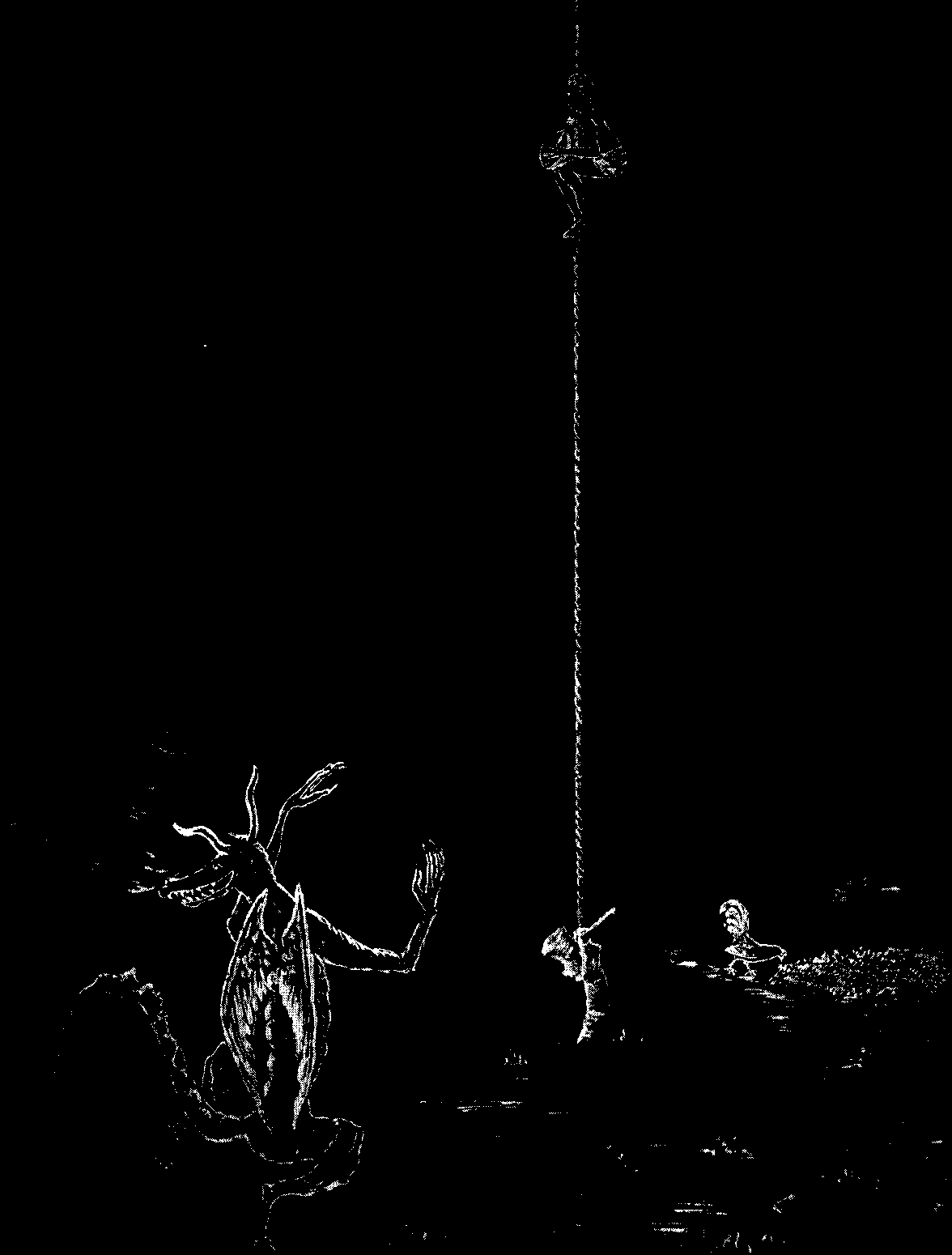 [Illustration] from West African Folk-Tales by William H. Barker