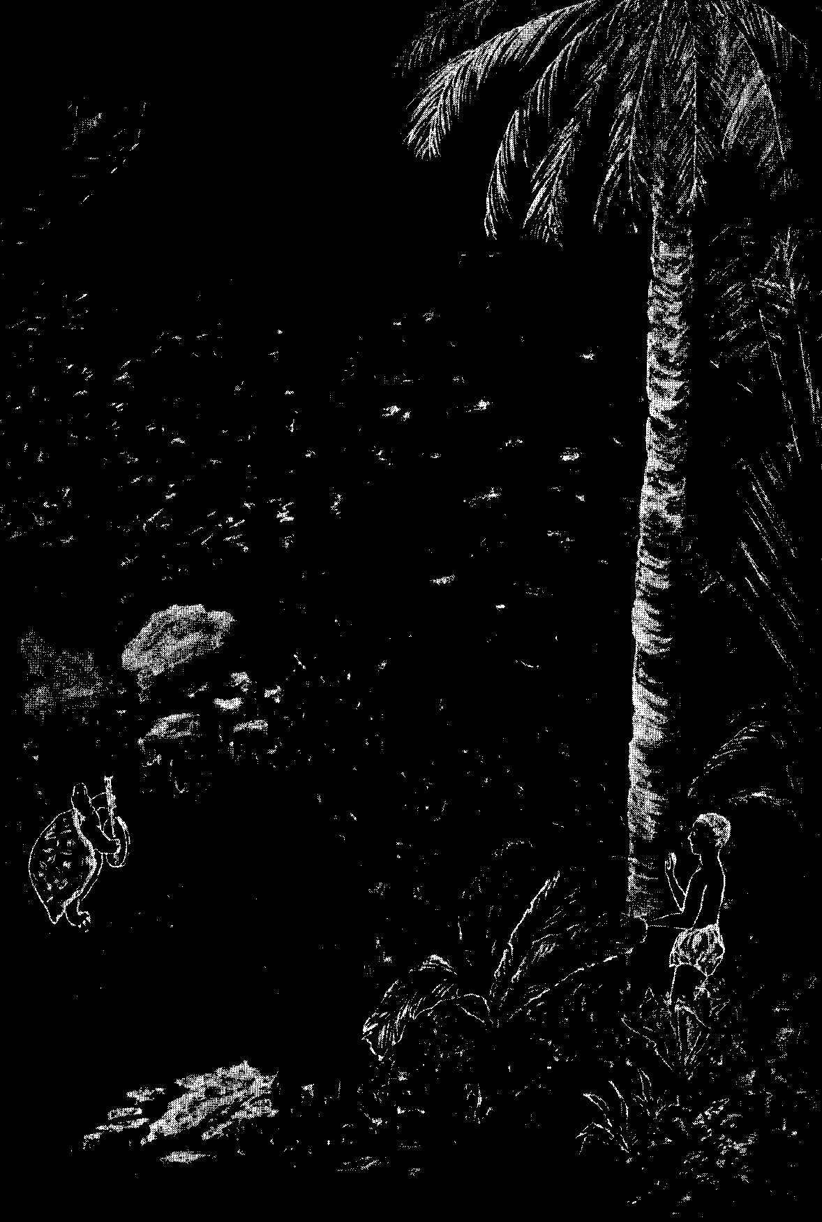 [Illustration] from West African Folk-Tales by William H. Barker