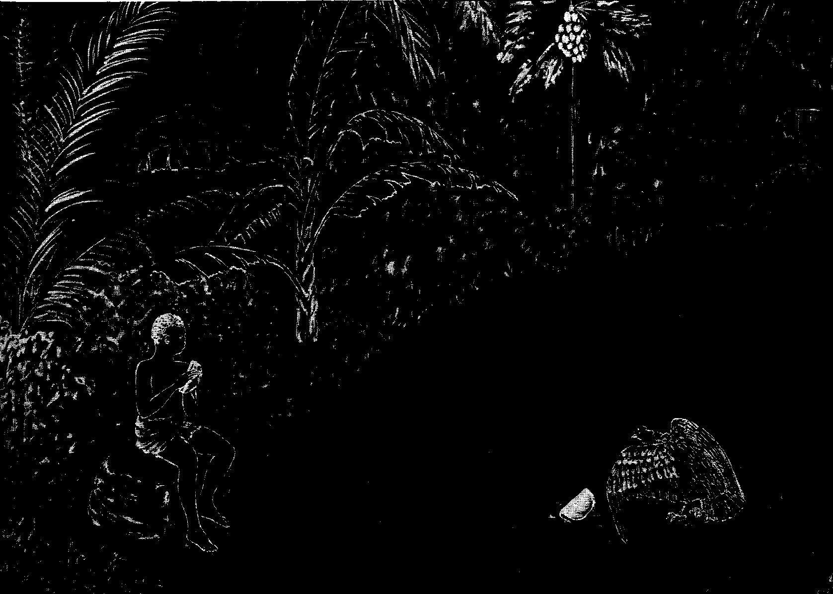 [Illustration] from West African Folk-Tales by William H. Barker