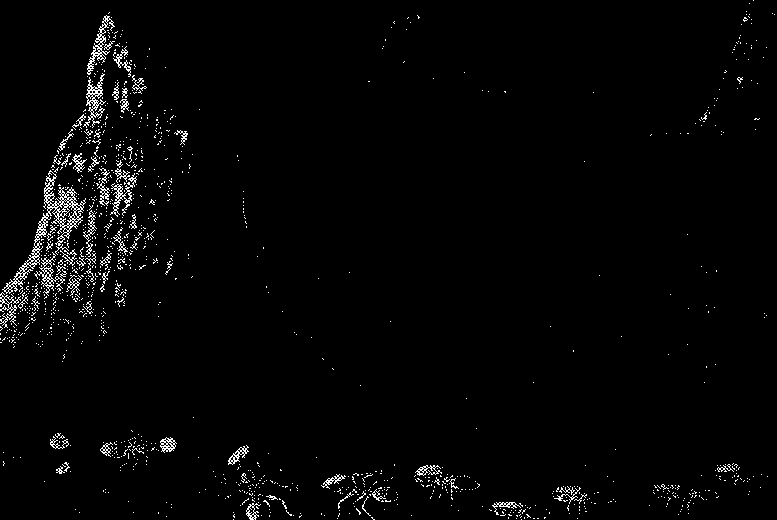 [Illustration] from West African Folk-Tales by William H. Barker