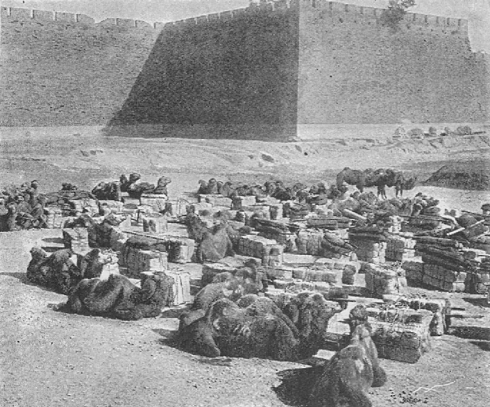 Trade Caravan at rest