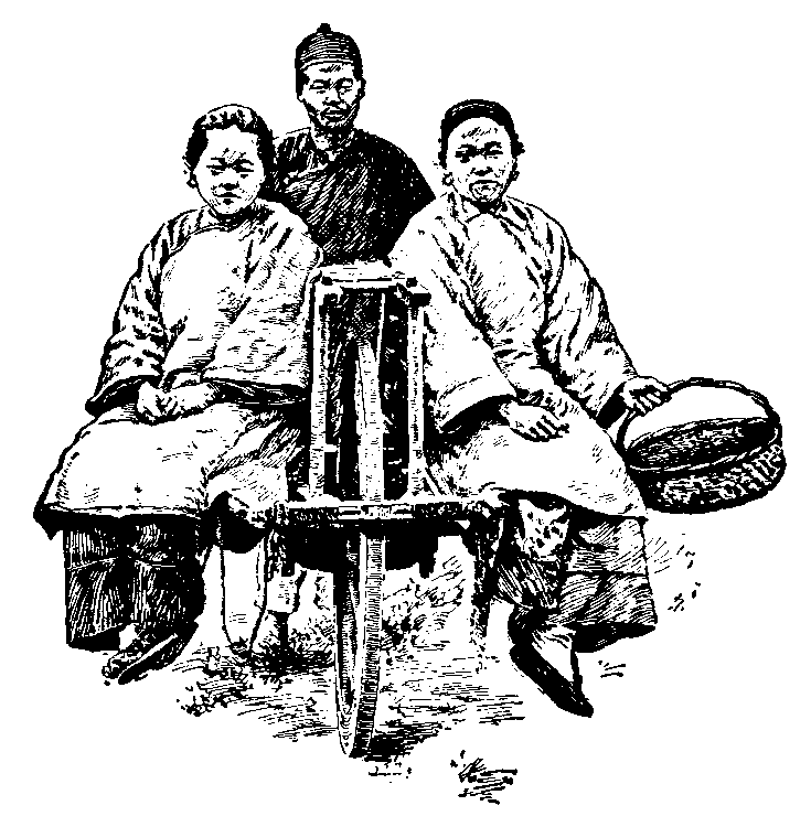 Passenger wheelbarrow