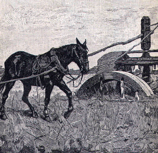 Irrigating Near Alicante.