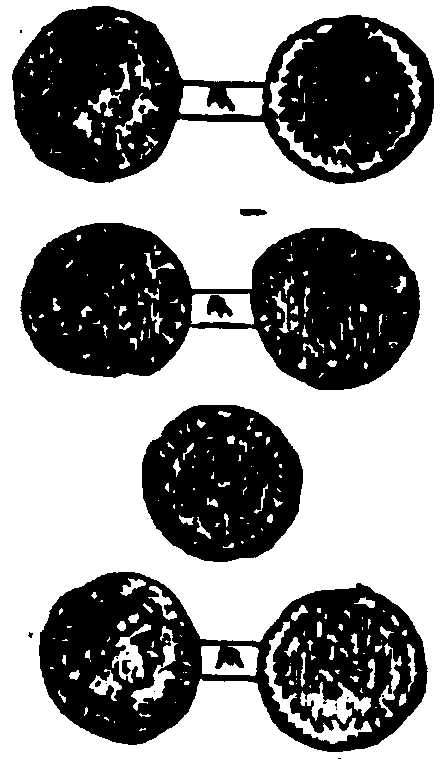 [Illustration] from The Goths by Henry Bradley